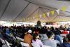 Filename=AAA_0444.jpg
Filesize=73KiB
Dimensions=800x536
Date added=Jul 12, 2011 AAA_0444.jpg