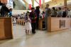 Filename=Church_35.JPG
Filesize=729KiB
Dimensions=1204x803
Date added=Mar 13, 2016 Church_35.JPG