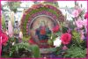 Filename=SAN_DIEGO_FIESTA_2014_2821729.jpg
Filesize=635KiB
Dimensions=1839x1240
Date added=Sep 12, 2014 SAN_DIEGO_FIESTA_2014_2821729.jpg