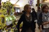 Filename=_AAA2288.JPG
Filesize=165KiB
Dimensions=1024x683
Date added=Aug 12, 2016 _AAA2288.JPG