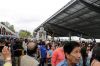 Filename=fiesta_282529.JPG
Filesize=653KiB
Dimensions=1204x803
Date added=Mar 13, 2016 fiesta_282529.JPG